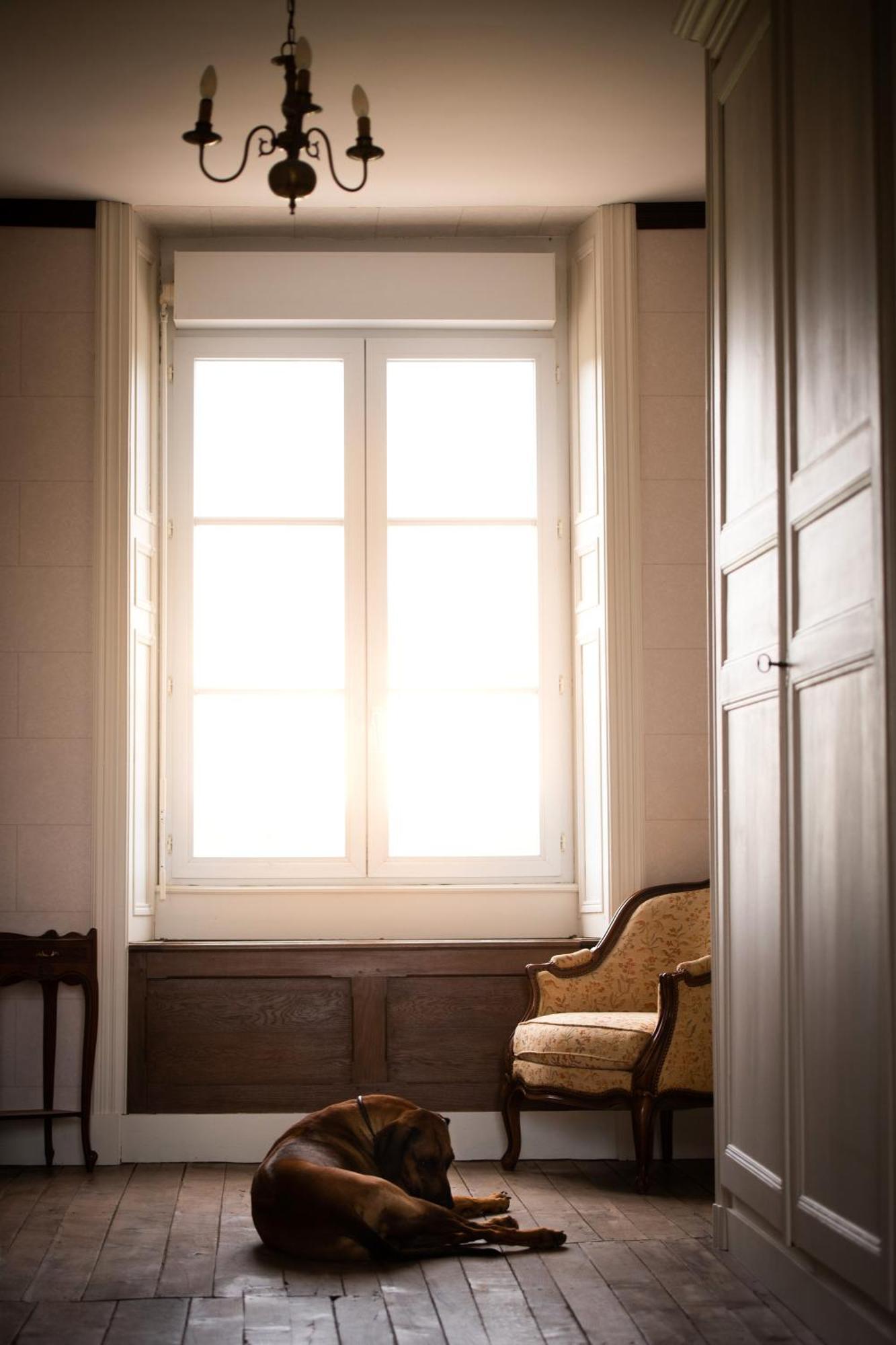 Bed and Breakfast Domaine De La Briouse Sanxay Екстер'єр фото