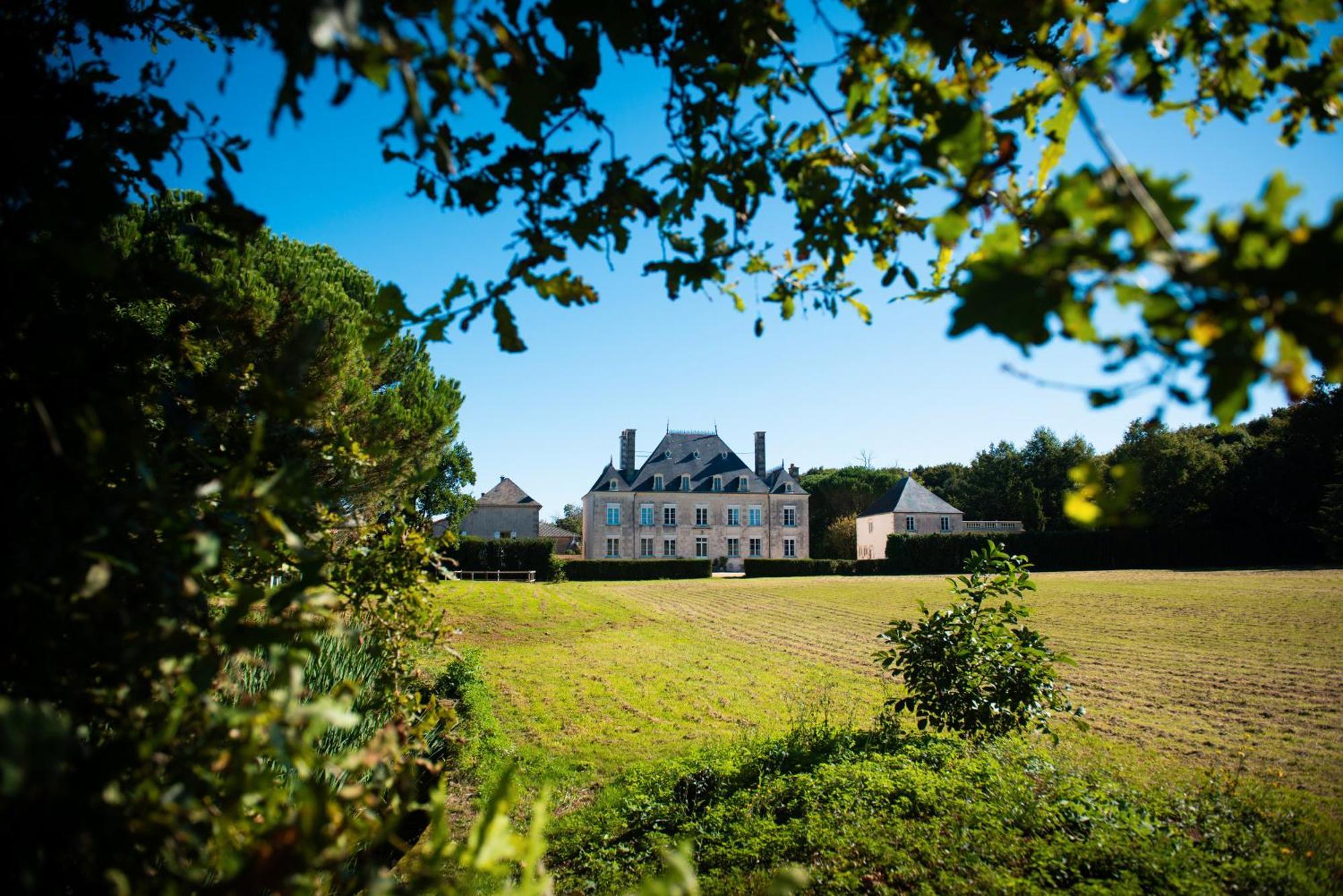Bed and Breakfast Domaine De La Briouse Sanxay Екстер'єр фото