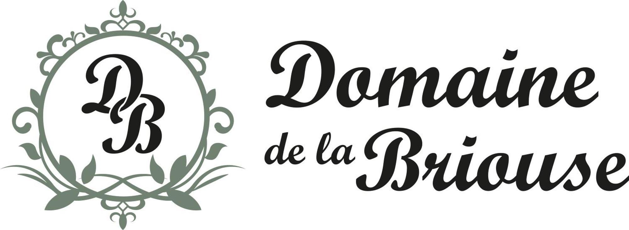 Bed and Breakfast Domaine De La Briouse Sanxay Екстер'єр фото
