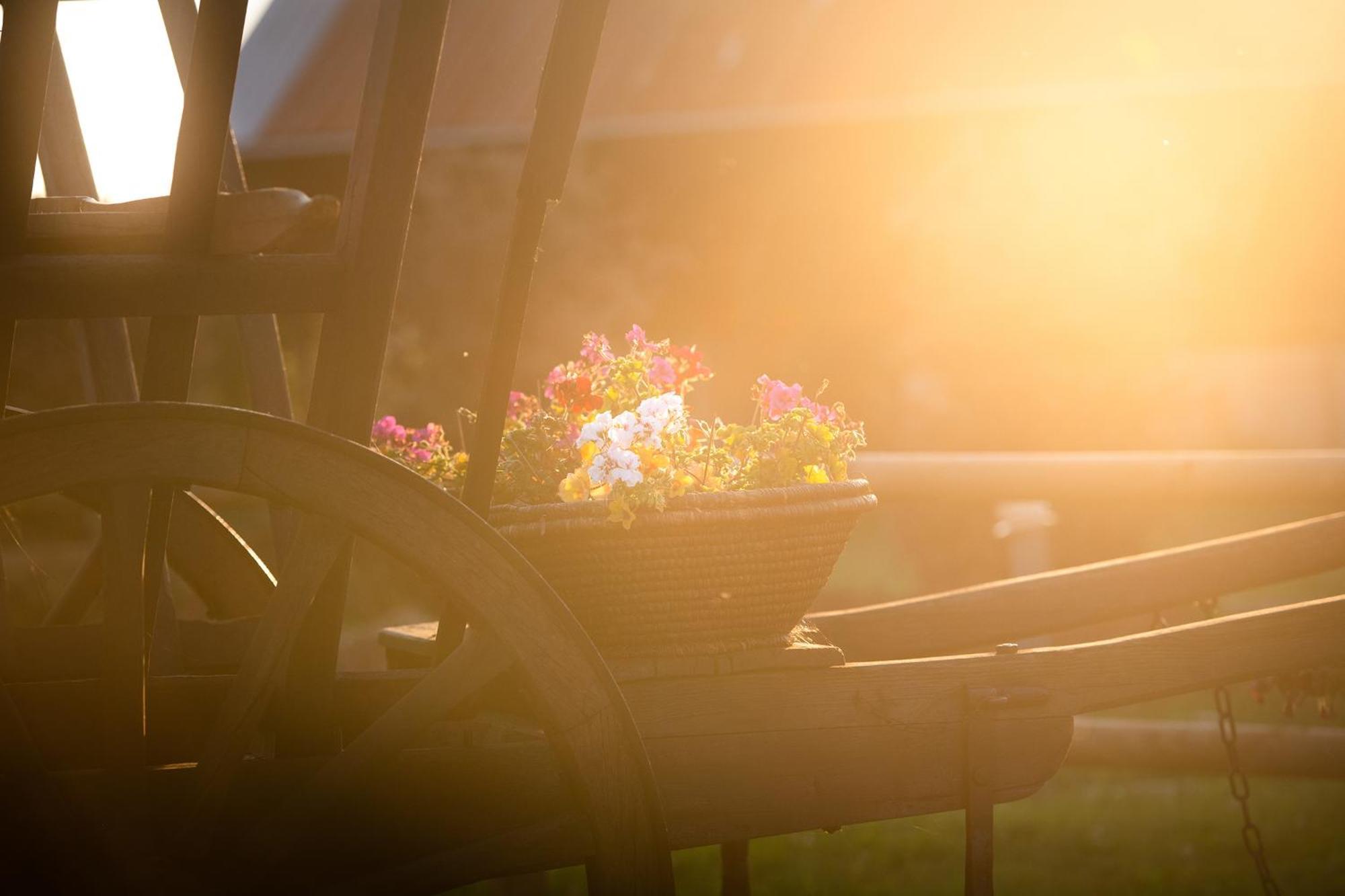Bed and Breakfast Domaine De La Briouse Sanxay Екстер'єр фото