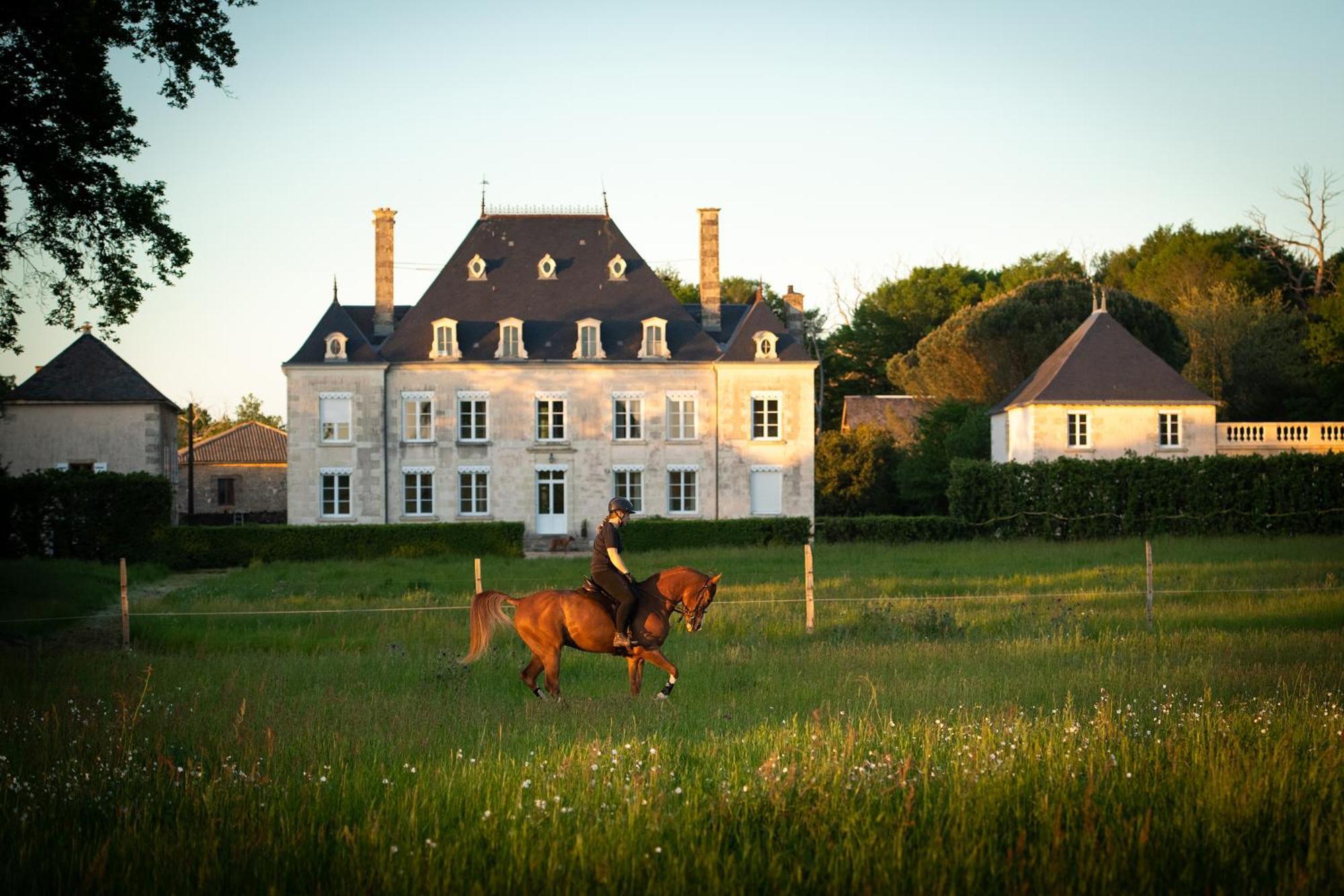 Bed and Breakfast Domaine De La Briouse Sanxay Екстер'єр фото
