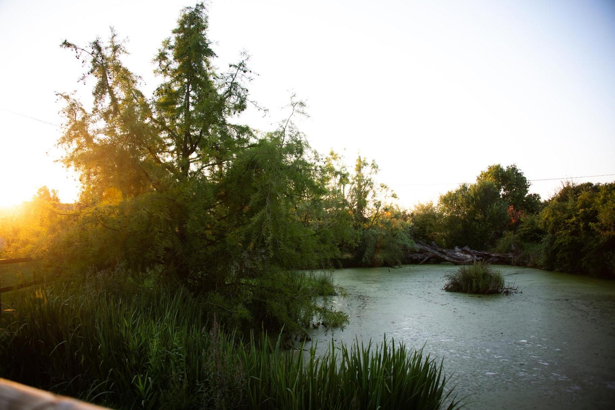 Bed and Breakfast Domaine De La Briouse Sanxay Екстер'єр фото