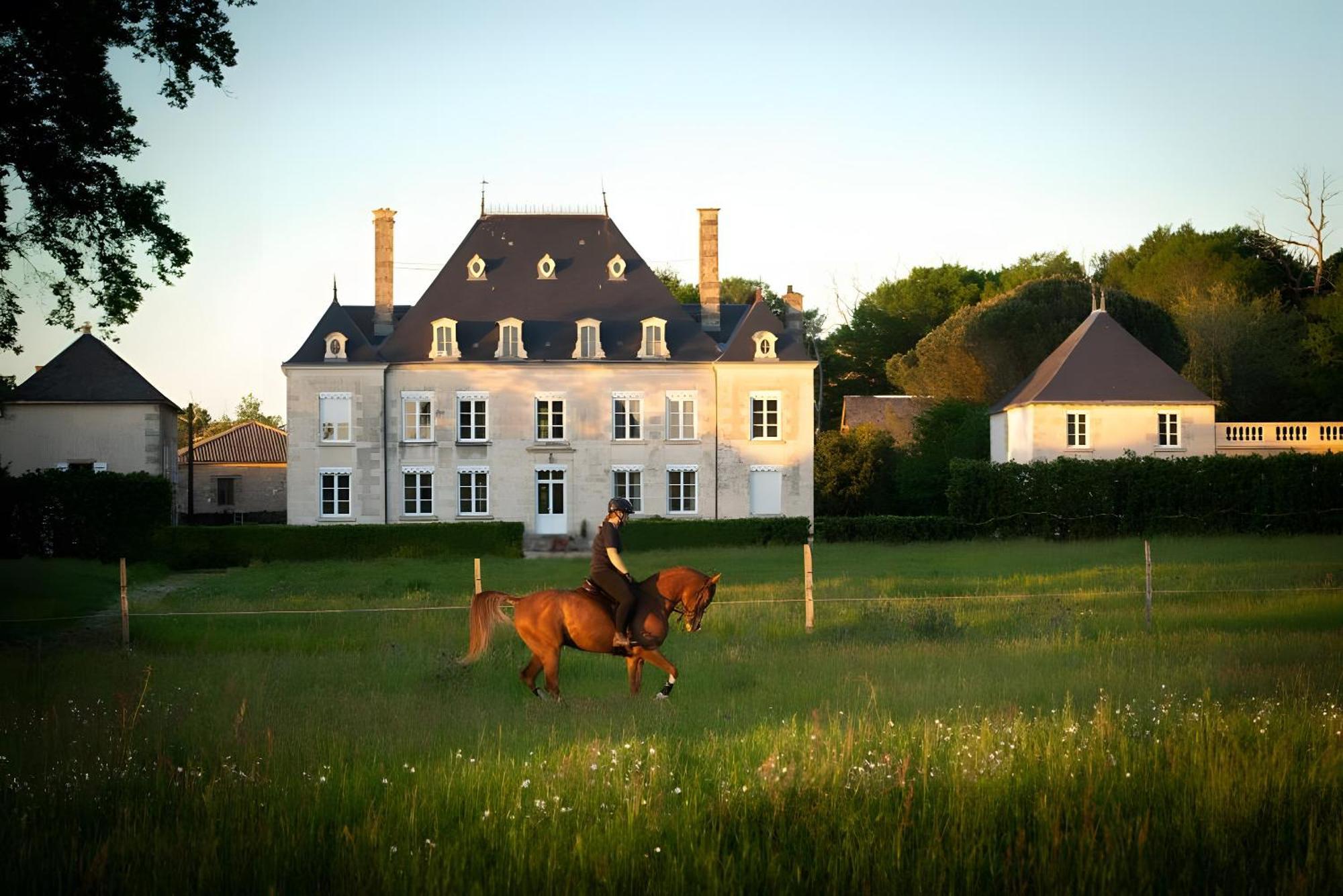 Bed and Breakfast Domaine De La Briouse Sanxay Екстер'єр фото
